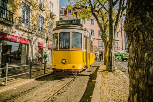 Boefjes in Lissabon