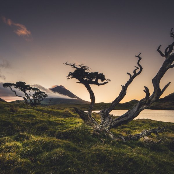 Azoren reisgids: Slapen & eten op Sao Miguel en Pico (deel 2)