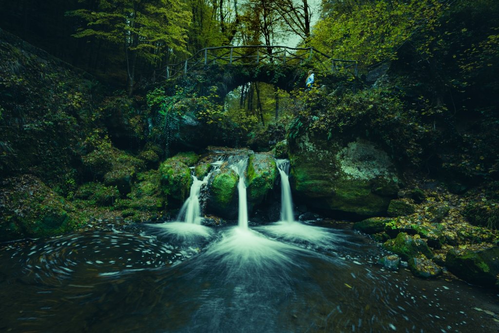 Op elfenjacht in de magische sprookjesbossen van Luxemburg