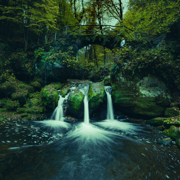 Op elfenjacht in de magische sprookjesbossen van Luxemburg