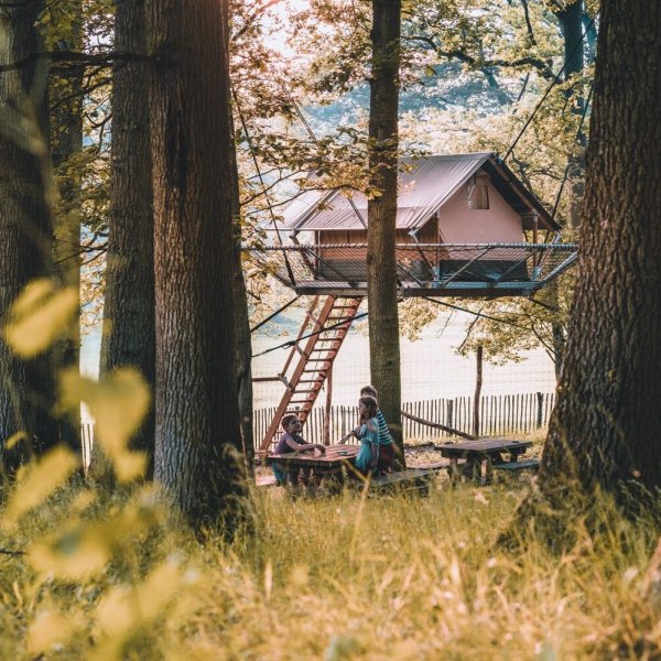 Kamperen met kinderen tussen de wilde dieren in het bos