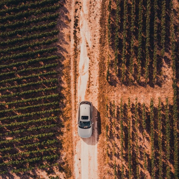 Op roadtrip vertrekken met de bestemming als verrassing en de kunst van het gelukkig worden door te reizen.