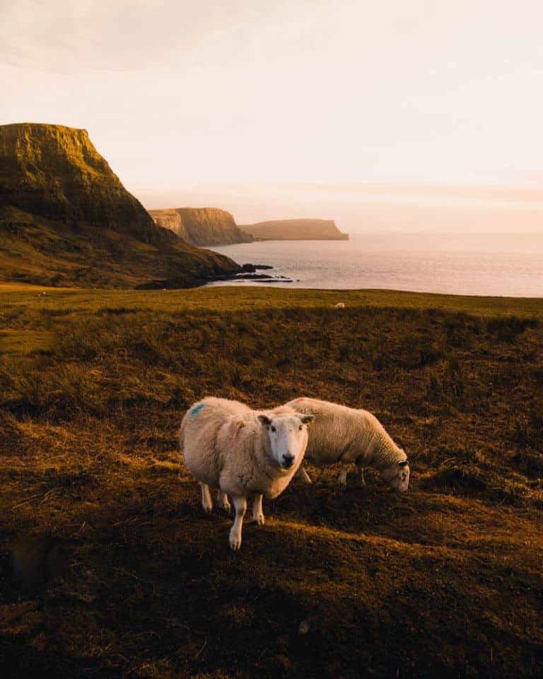 Roadtrip door Schotland & Isle of Skye met de auto op de ferry of het vliegtuig?