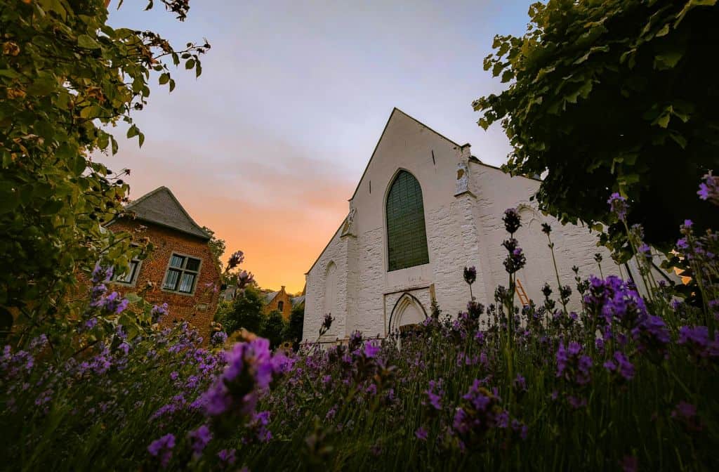 diest wat te doen