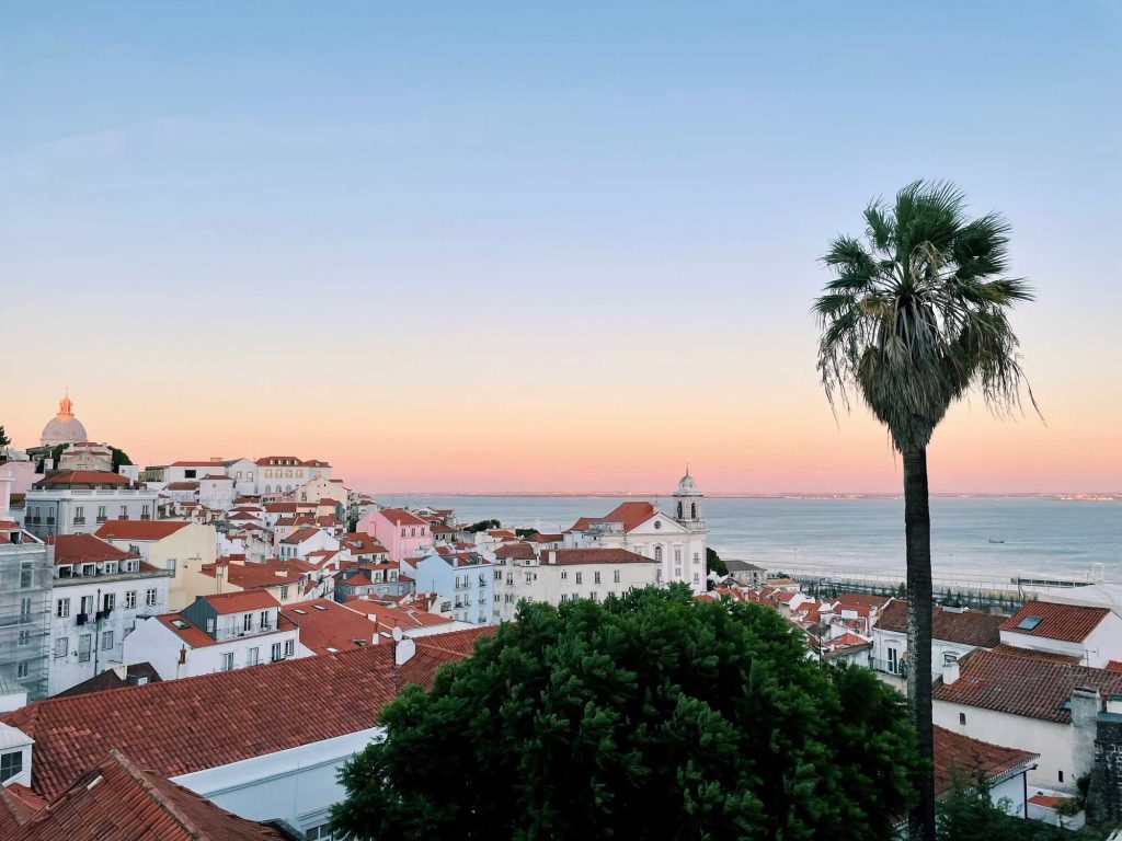 Landschappelijk uitzicht op de kuststad Lissabon met gebouwen met rode daken, een hoge palmboom en rustig water bij zonsondergang - een must voor iedereen die wil genieten van pastelroze en blauwe luchten.