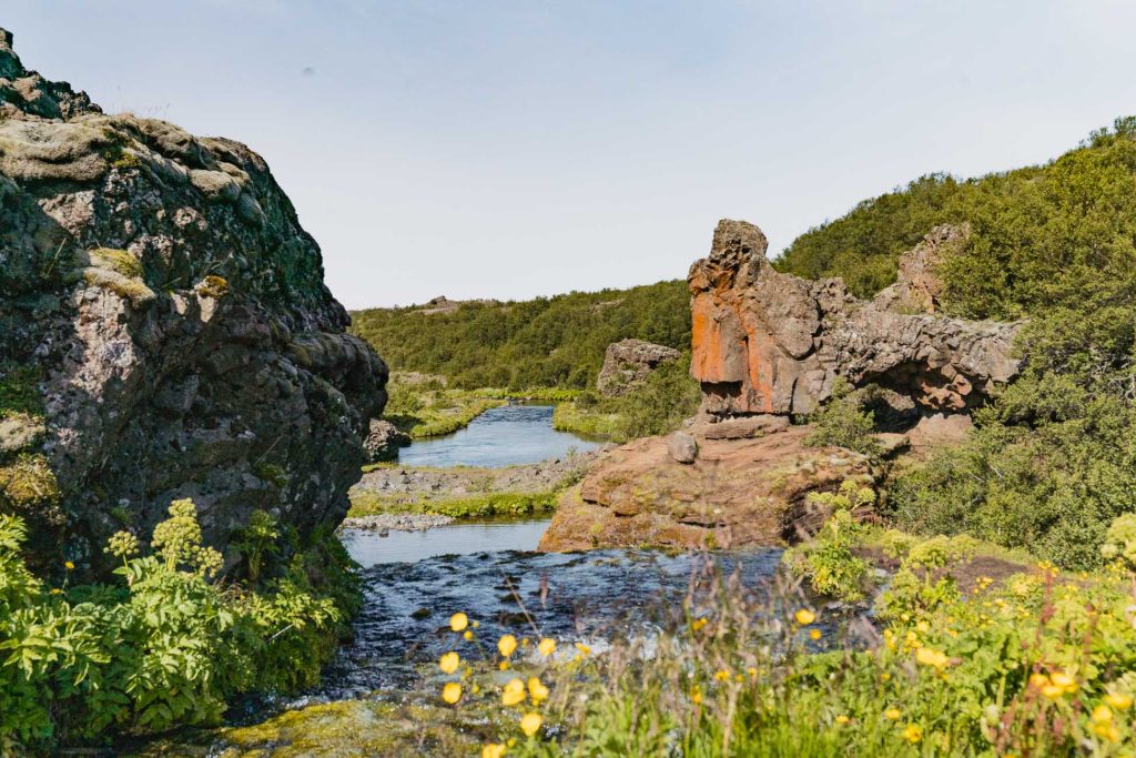 Een schilderachtig landschap in IJsland met rotsachtige kliffen, een zacht stromende rivier, groene struiken die langs de oevers groeien en wilde gele bloemen onder een helderblauwe hemel.