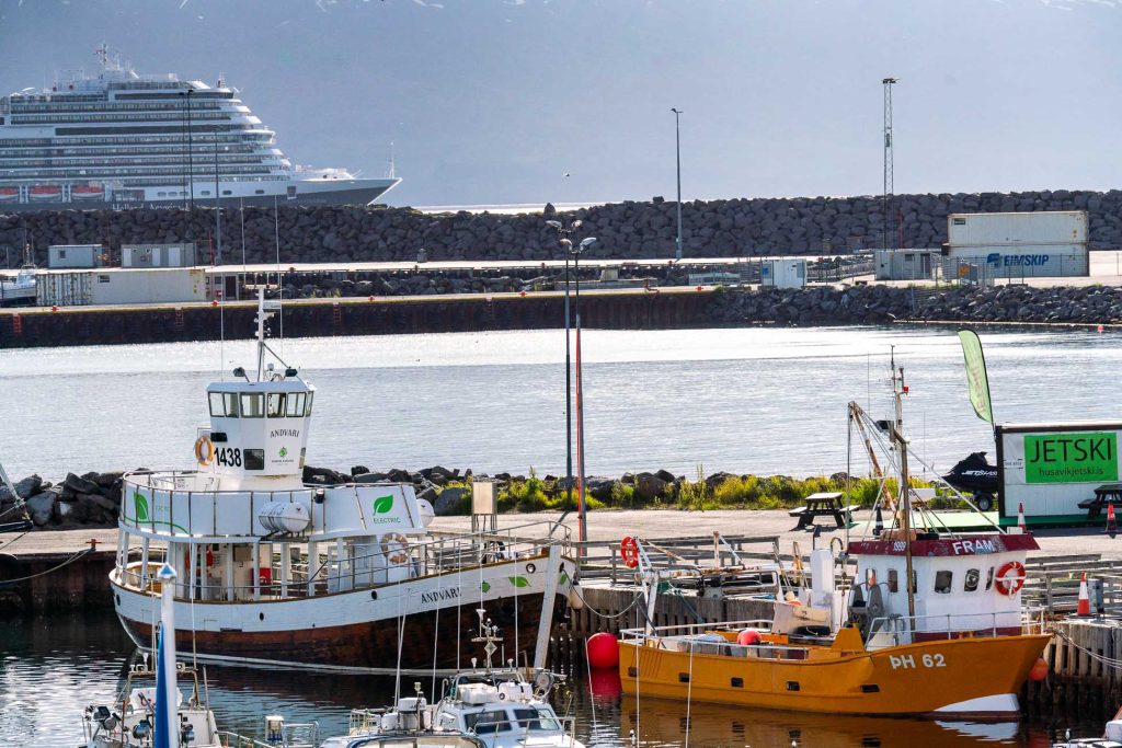 Een haven in IJsland met verschillende aangemeerde boten, waaronder een witte en gele vissersboot, en een groot cruiseschip op de achtergrond. Kalm water weerspiegelt bergen in de verte. Een groen "JETSKI" verhuurbord is zichtbaar als het toerisme hier groeit.