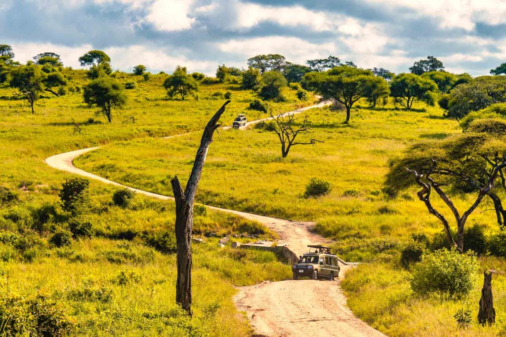 Een safarivoertuig rijdt over een kronkelende onverharde weg door de met gras begroeide, met bomen bezaaide savanne van Afrika onder een gedeeltelijk bewolkte hemel, met andere voertuigen zichtbaar in de verte, de essentie van "pole pole door Tanzania" vastleggend.