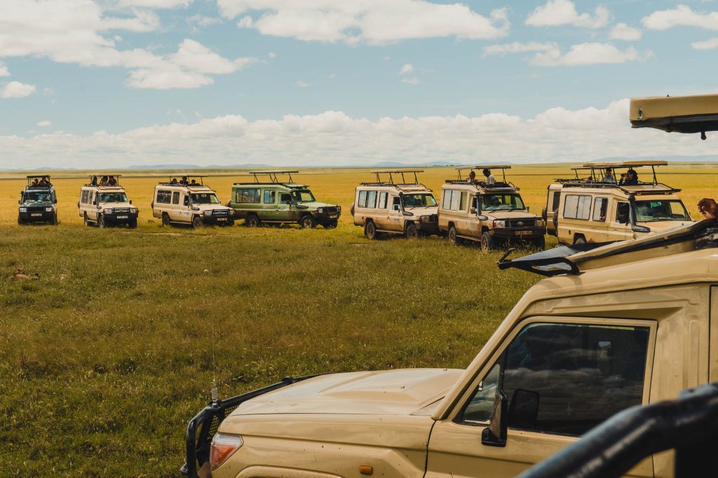 Een rij safarivoertuigen staat geparkeerd op een grasvlakte onder een blauwe hemel met verspreide wolken - een van de hoogtepunten van Tanzania, met adembenemende uitzichten over open velden die zich in de verte uitstrekken.