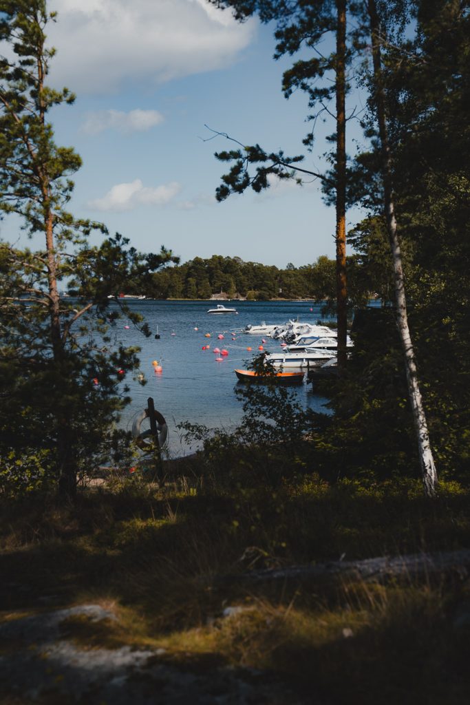 Een schilderachtig uitzicht op het meer in Zweden, omringd door hoge pijnbomen, met boten aangemeerd aan een pier en rode boeien drijvend op het water onder een gedeeltelijk bewolkte hemel - perfect om te genieten van naturisme te midden van serene natuurlijke schoonheid.