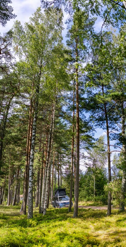 Een auto met open kofferbak staat geparkeerd op een open plek in het bos tussen hoge dennenbomen in Zweden, met groen gebladerte en een gedeeltelijk bewolkte lucht boven je hoofd.