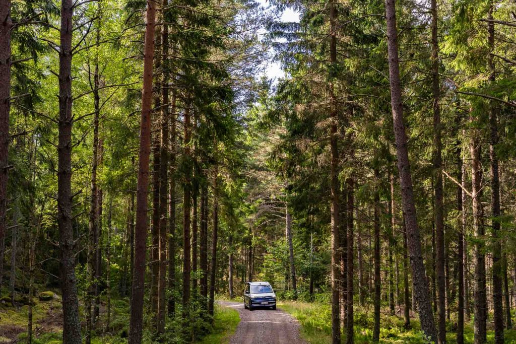 Een auto rijdt over een smalle onverharde weg omringd door hoge, dichte pijnbomen in een zonovergoten Zweeds bos.