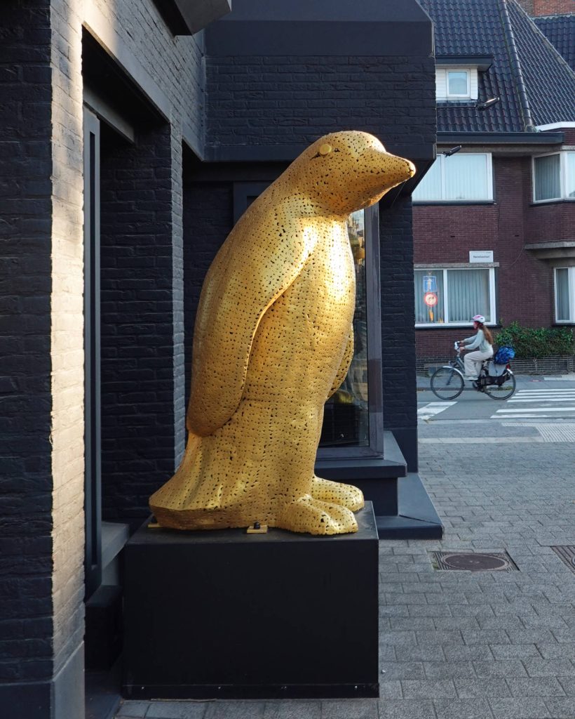 Een groot, goudkleurig pinguïnbeeld - dat doet denken aan Antarctica - staat op een zwarte sokkel voor een donker bakstenen gebouw in Hasselt, met op de achtergrond een voorbijrijdende fietser op straat.