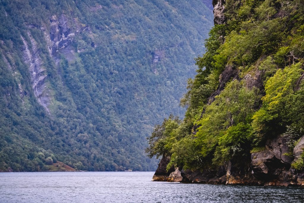 Steile, met bomen bedekte kliffen rijzen op boven een kalme fjord, met weelderig groen gebladerte en rotsachtige oppervlakken zichtbaar; Noorwegen Nomaden zouden deze bergen, bedekt met dichte bossen, kunnen verkennen onder de magische middernachtzon.