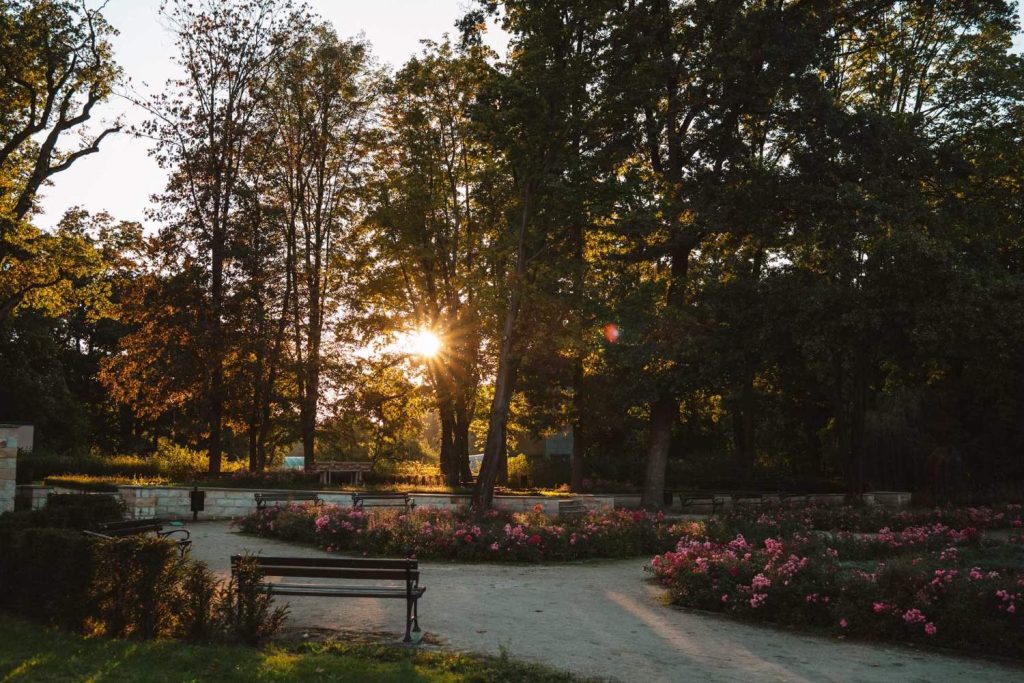 Een parkscène bij zonsondergang in Opole reizen, met zonlicht dat door hoge bomen schijnt en schaduwen werpt op een pad omringd door roze bloembedden en lege bankjes.