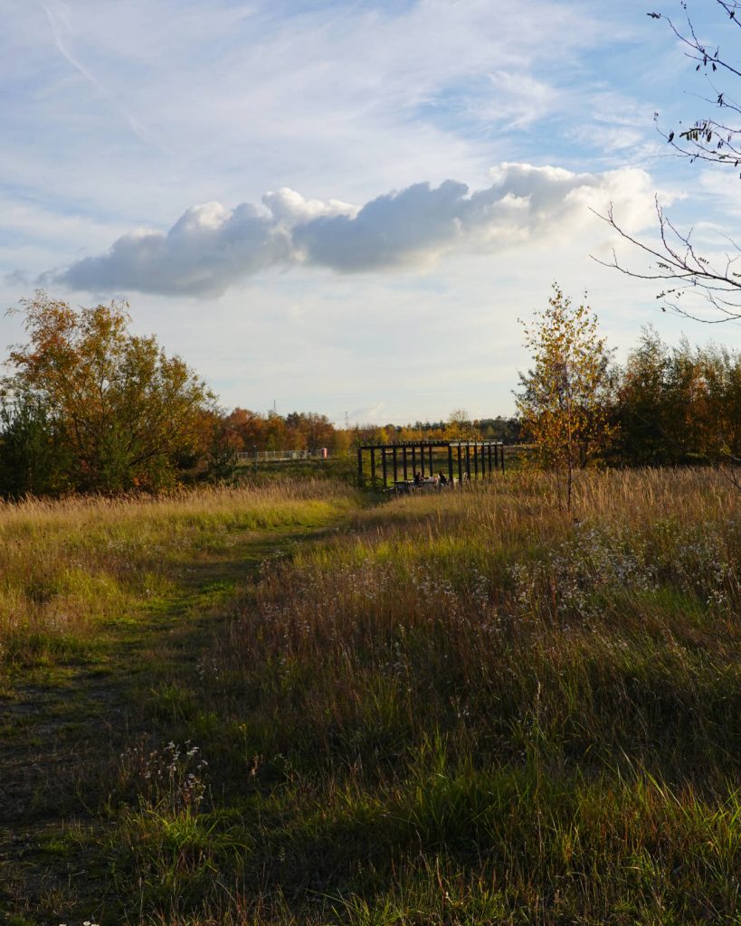 Een grasveld met herfstbomen onder een blauwe lucht met wolken. In de verte steekt een houten bruggetje het landschap over - een uitnodigende plek voor een gezellige winterdate, omringd door hoog gras, wilde bloemen en Genkse Gastvrijheid.