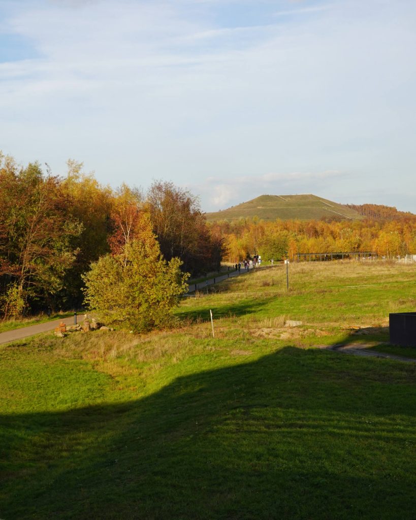 Een graslandschap met bomen in herfstkleuren, een wandelpad en een paar mensen in de verte. Op de achtergrond is er een heuvel onder een gedeeltelijk bewolkte hemel, perfect om de Genkse Gastvrijheid te ervaren op een gezellige winterdate.