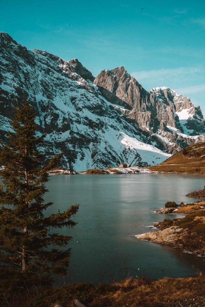 Een sereen bergmeer met een dennenboom op de voorgrond, perfect voor een herfst citytrip in Zwitserland, omringd door ruige, besneeuwde bergtoppen onder een strakblauwe hemel.