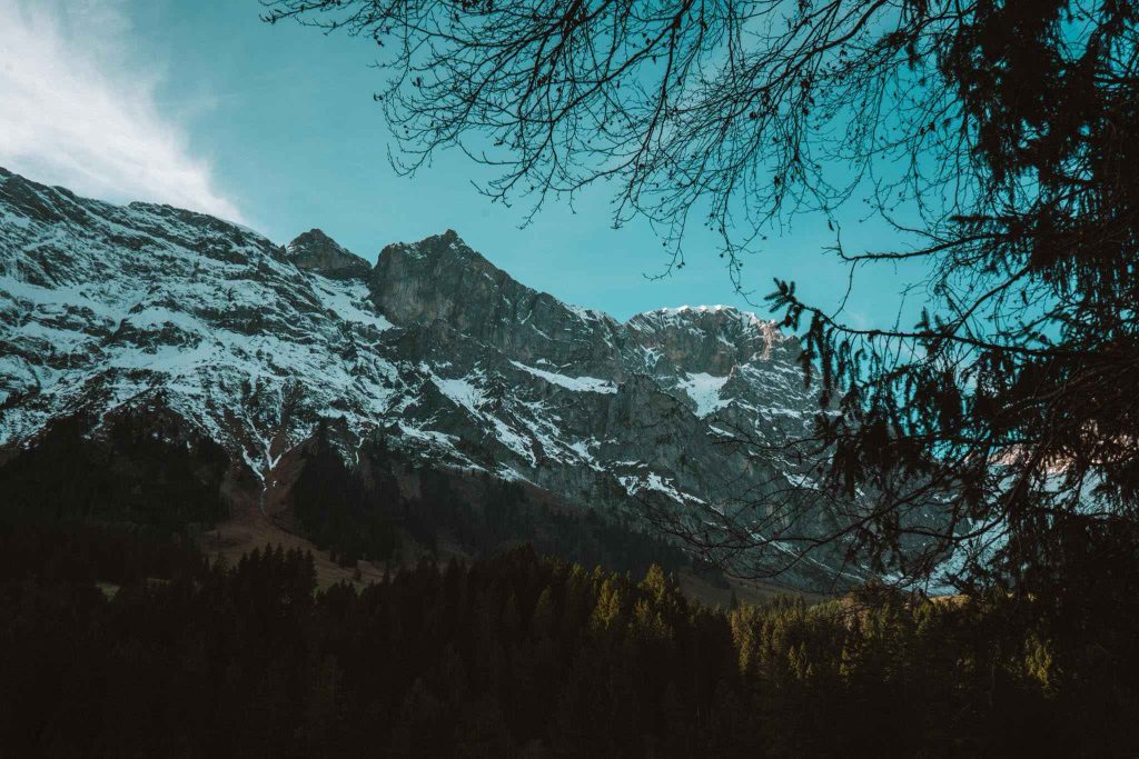Besneeuwde bergen rijzen uit boven een dicht bos, met boomtakken die het tafereel omlijsten onder een strakblauwe hemel.
