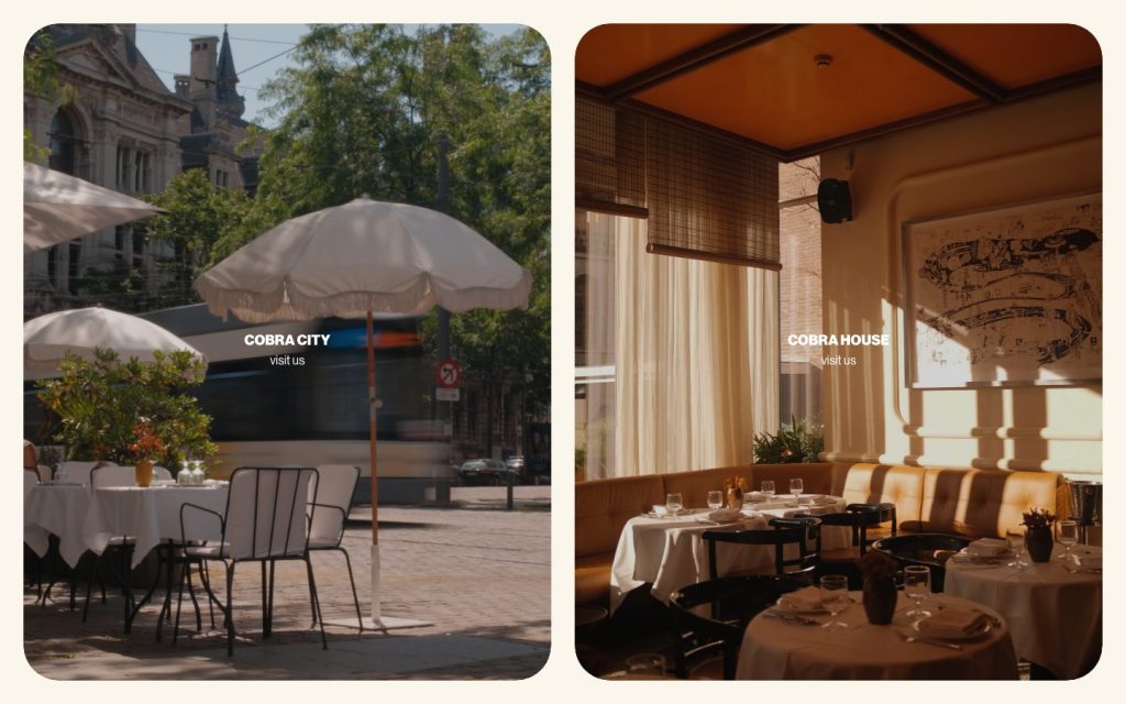 Website van Cobra City en Cobra House in Antwerpen